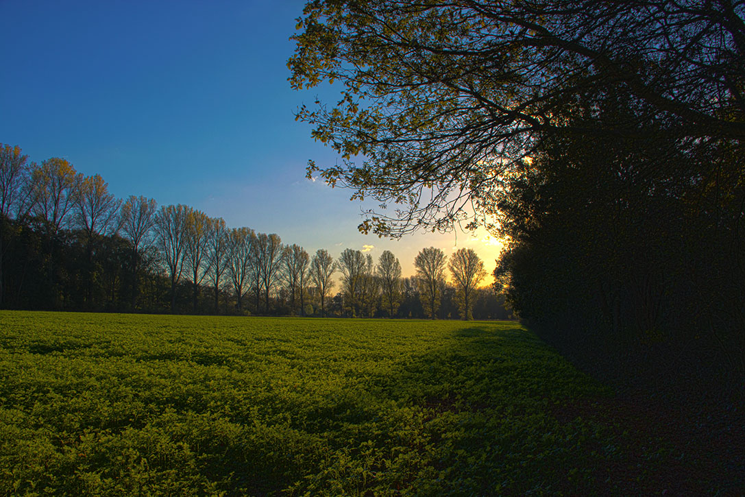 Am Hülser Berg, Krefeld